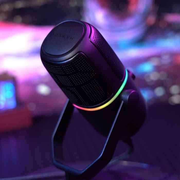 HAYLOU GX1 Professional Live Microphone